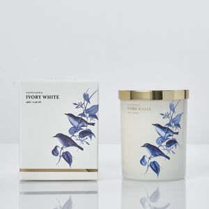 Ambianti Chinoiserie Ivory White 198g Candle