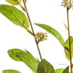 Eucalyptus With Berries Spray - 104cm
