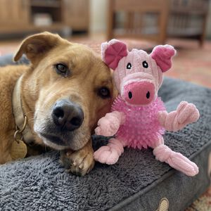 Pig Plush Dog Toy