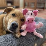 Pig Plush Dog Toy