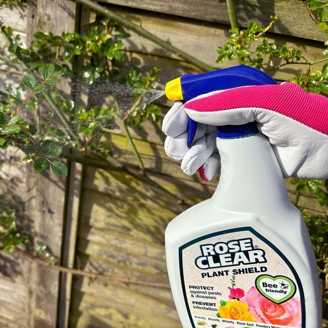 800ml Rose Clear Plant Shield Spray