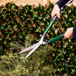 Hedge Shears