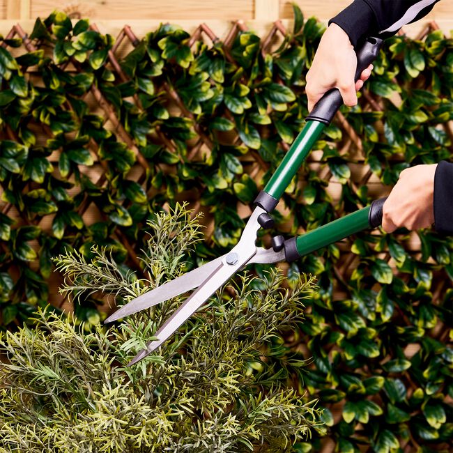 Hedge Shears