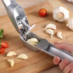 Zyliss 4 Garlic Press