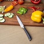 Zyliss Comfort Pro Serrated Paring Knife