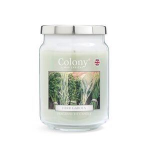 Colony Large Jar Herb Garden