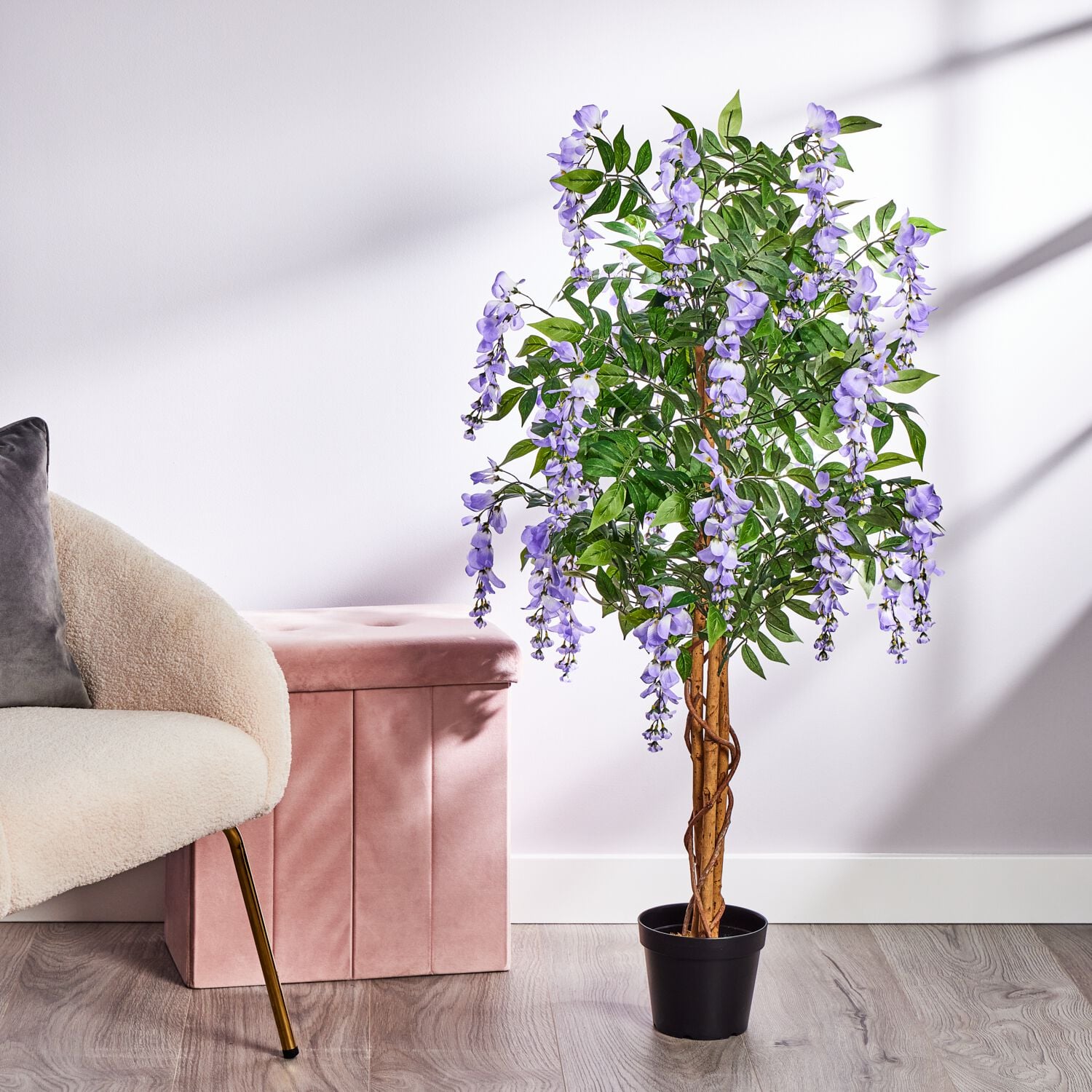 bambusbaum zimmerpflanze Bambus rufa (Fargesia rufa) | 60-80 cm im Topf