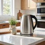 Nordhaus 1.7L Stainless Steel Kettle 