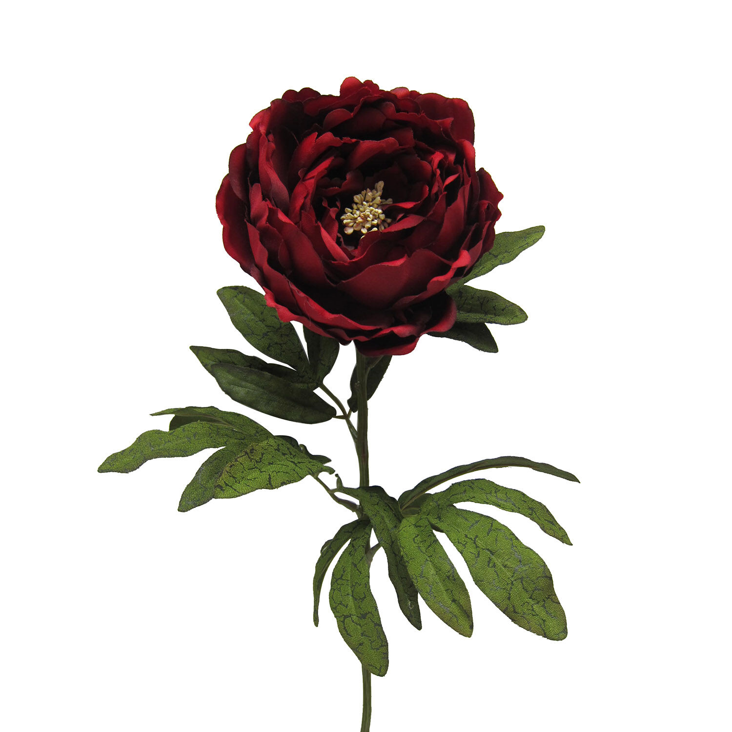 Peony Single Stem Red Flower 74cm Home Store More