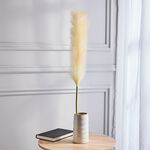 Pampas Single Stem Natural 96cm