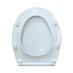 Super Slim Soft Closing Toilet Seat