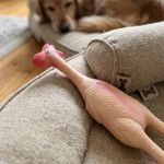 Latex Chicken Dog Toy