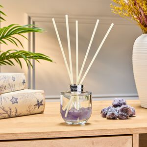 Aromabotanical Crystal Amethyst Reed Diffuser