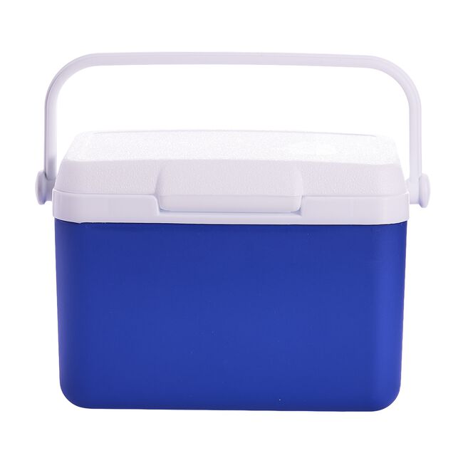 4L Cooler Box 