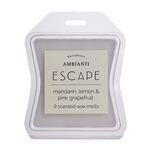 Ambianti Spa Collection Escape Wax Melt