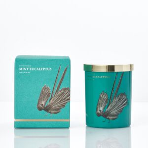 Ambianti Chinoiserie Mint Eucalyptus 198g Candle
