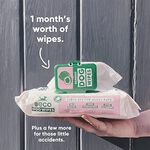 80 Beco Coconut Scented Dog Wipes