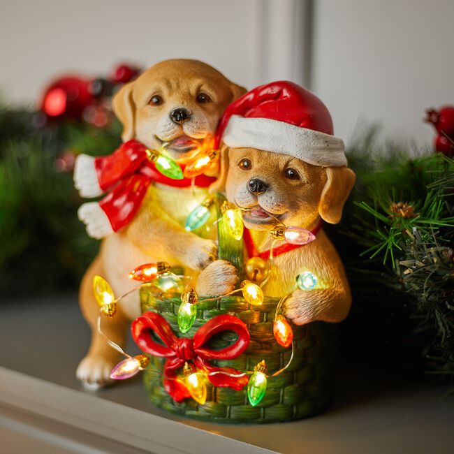 Christmas Dogs In Basket With String Lights