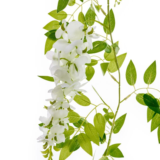 Cream Wisteria Garland 1.8M