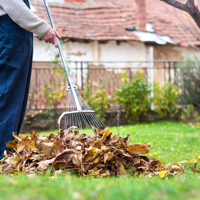 Adjustable Lawn Rake