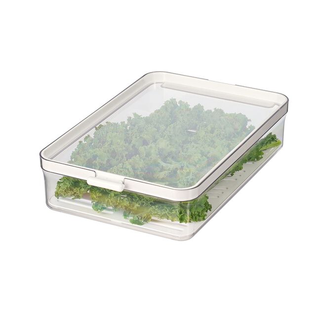 Felli Vision 2.0L Fridge Storage Box