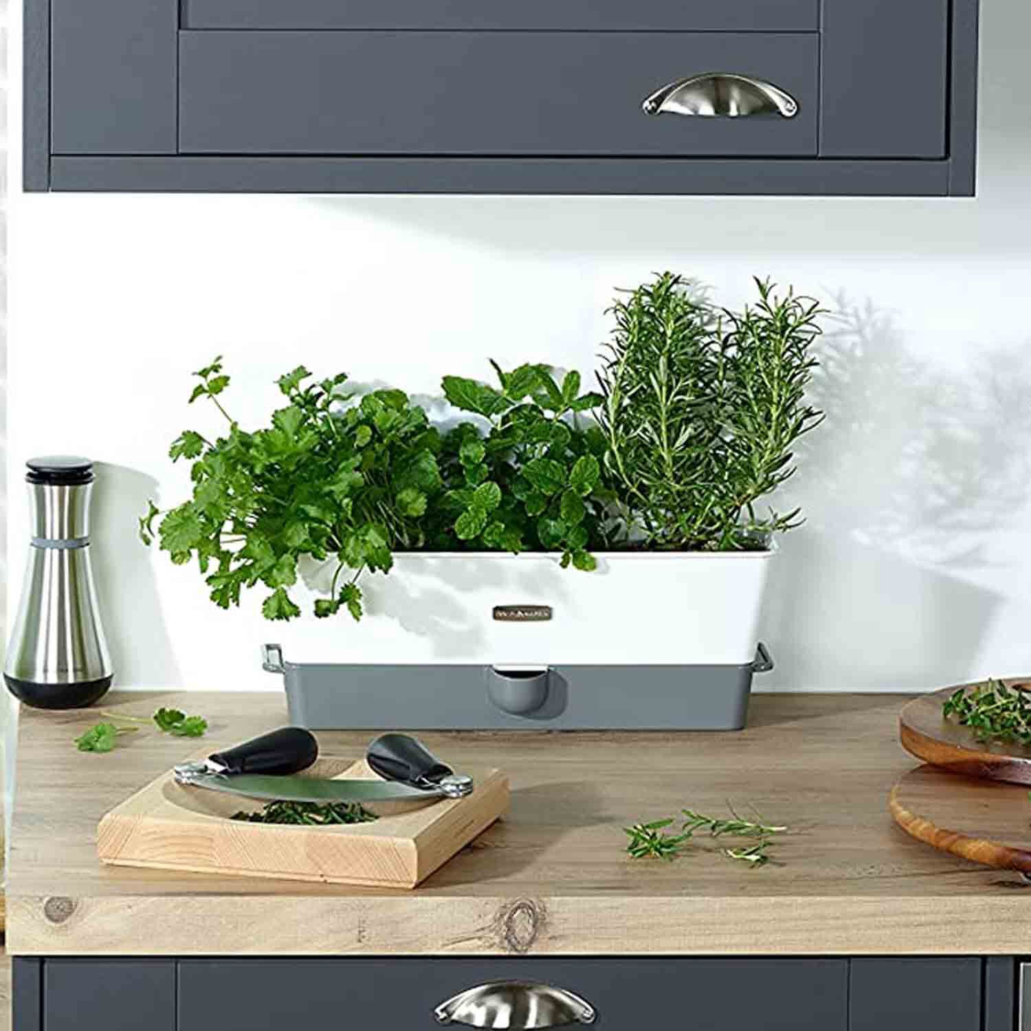 Cole & Mason Triple Self Watering Herb Keeper Home Store + More