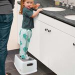 Dreambaby® Toddlers & Me Step Stool