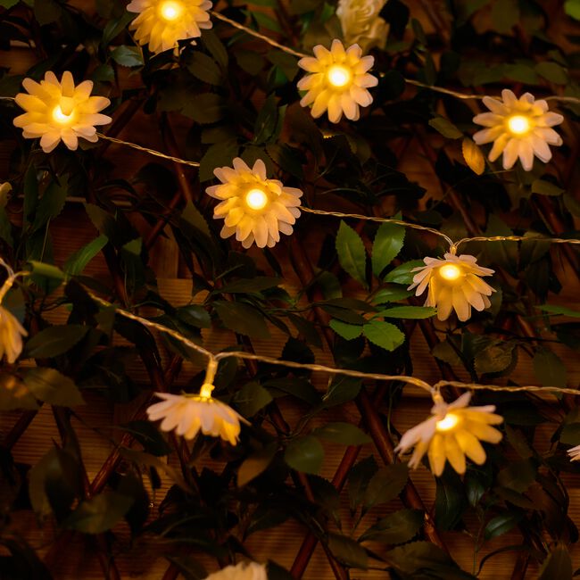 24 LED Daisy Garden Solar String Lights
