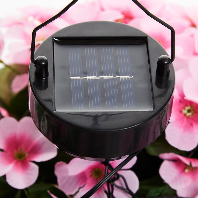 Floral Solar Hanging Basket