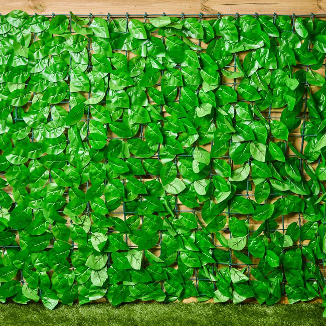 Birch Leaf Trellis 2M x 1M
