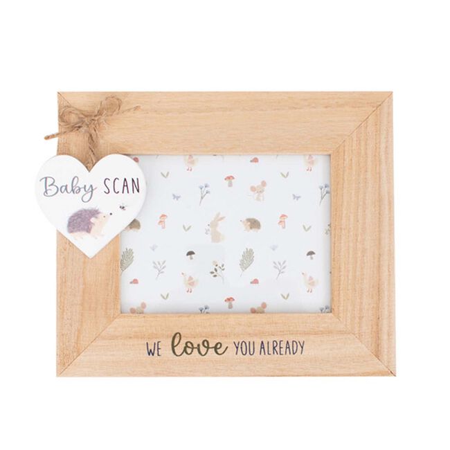 First Steps Garden Tales Baby Scan Frame