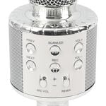 Wireless Karaoke Microphone