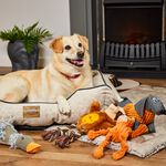 Stella Pet Bed - Medium