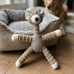 Bear Plush Tug Dog Toy