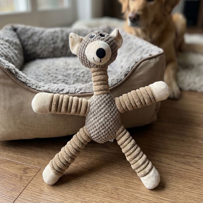 Bear Plush Tug Dog Toy