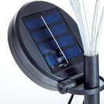 Firefly Solar Path Light
