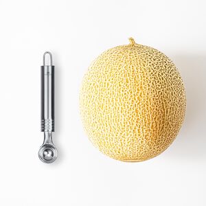 Facklemann Melon Baller