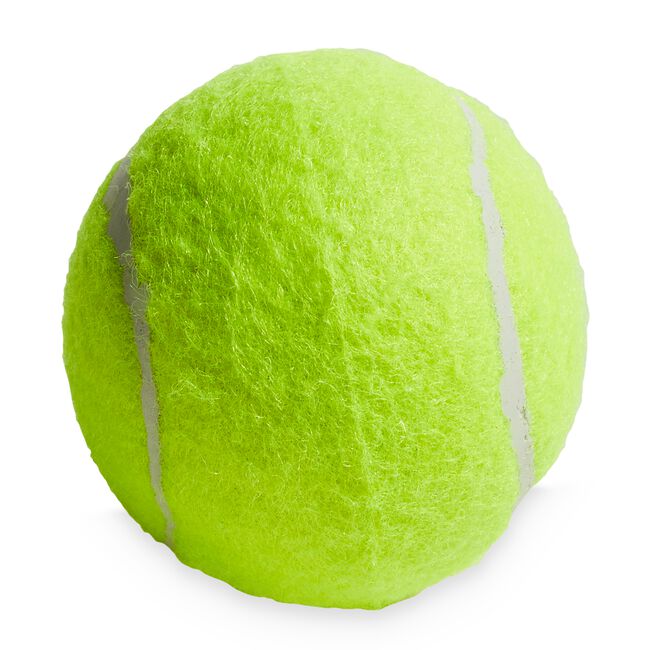 Dog 3 Piece Tennis Ball 