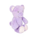 First Steps My First Teddy (Assorted Design)