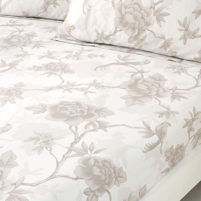 FRANCIS Single Fitted Sheet 