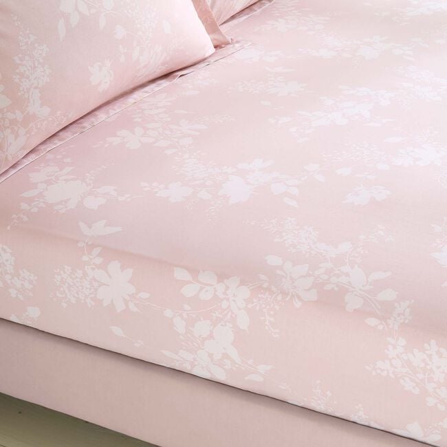 FORREST King Fitted Sheet