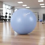 BODY GO Anti-Burst Swiss Ball 65cm Blue 