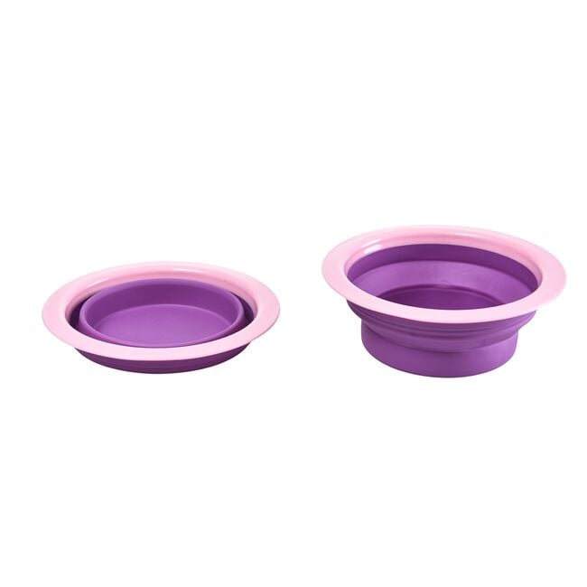 Double Diner Pet Bowl with Stand