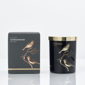 Ambianti Chinoiserie Sandalwood 198g Candle
