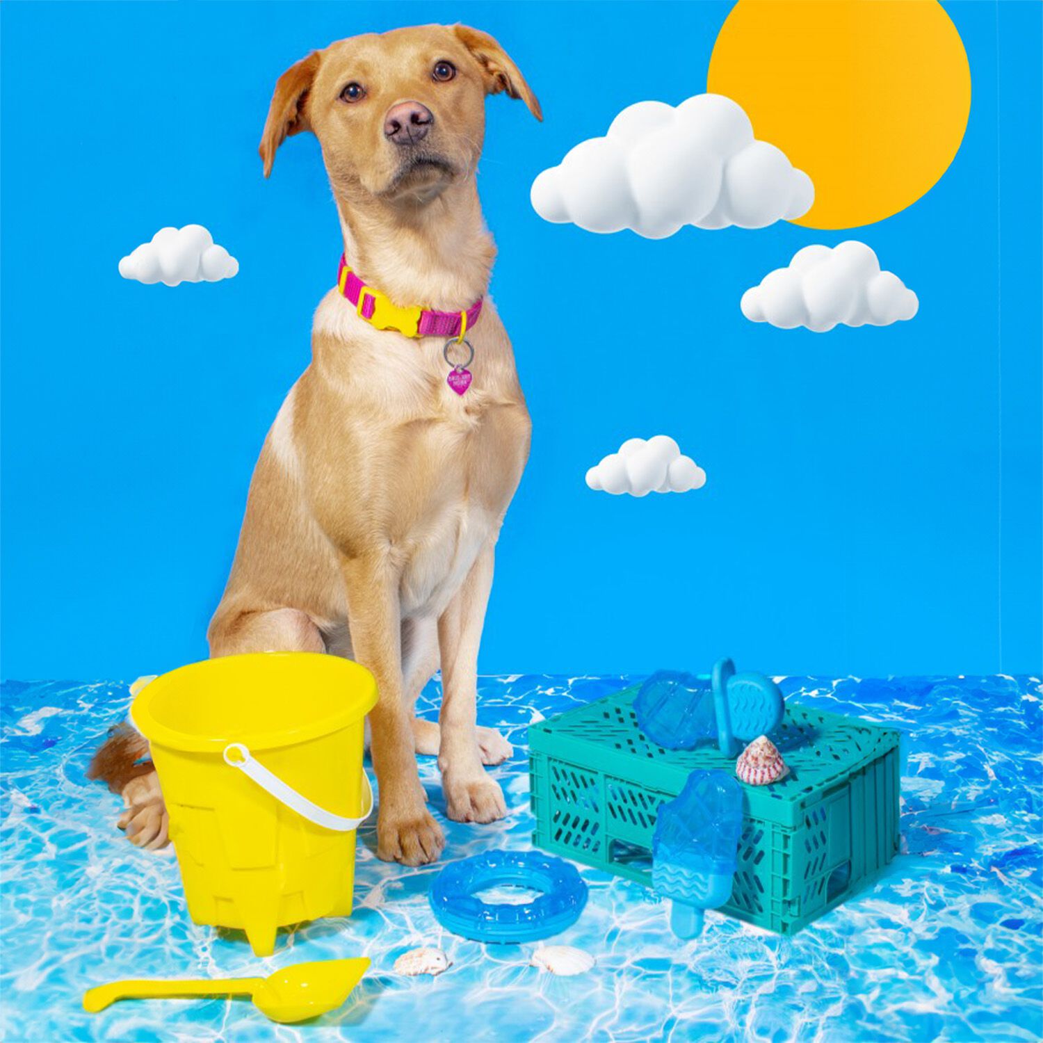 Summer Cooling Rubber Dog Toy 3 Assorted Designs Home Store More