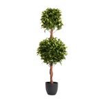 Double Laurel Topiary Tree 1.2m