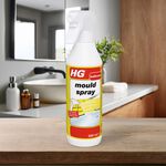 HG Mould Spray 0.5L