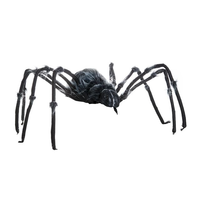 Giant Skeleton Spider