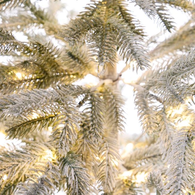 1.8M Warm White Pre-Lit Pine Needle Tree