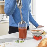 Salter Boston Hand Blender